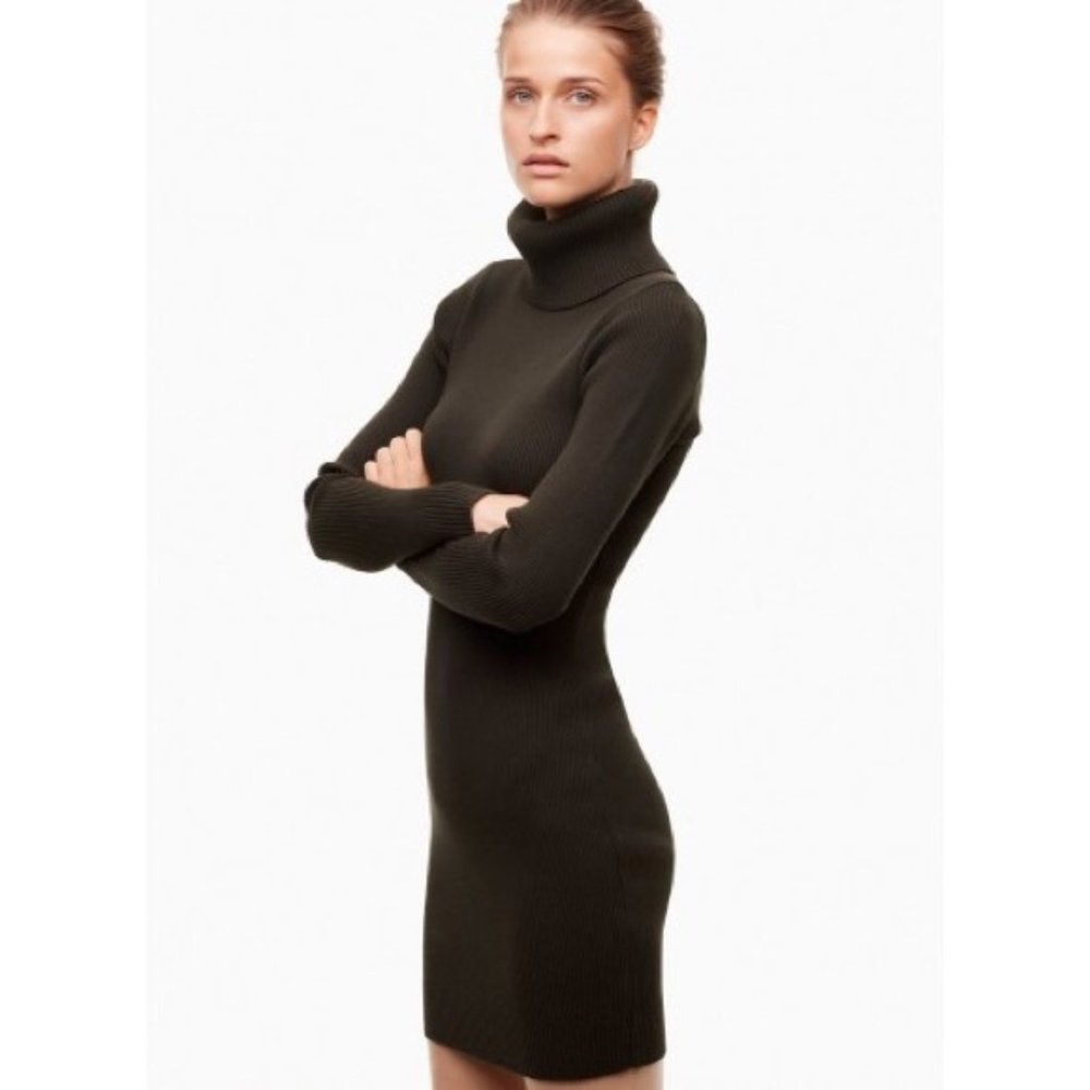 Babaton Stefanik Ribbed Turtleneck Dress